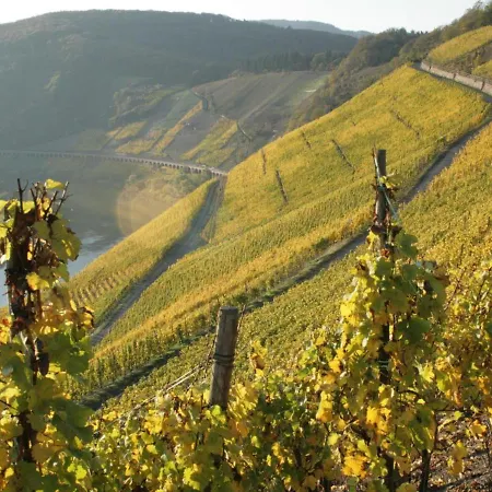 Holiday home Ferienhaus Old Winery Briedel