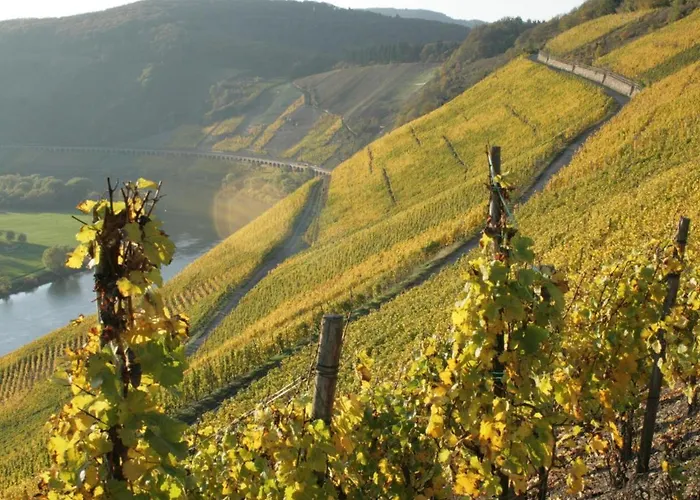 Appartamento Old Winery Briedel