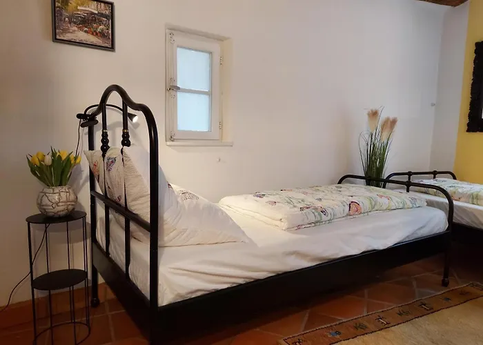 Old Winery Appartamento Briedel